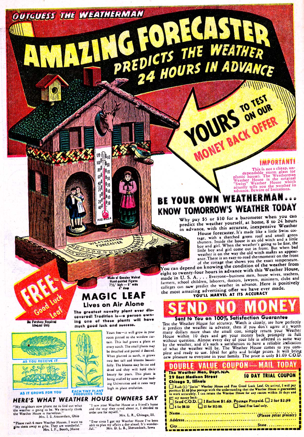 Read online Animal Antics comic -  Issue #1 - 50