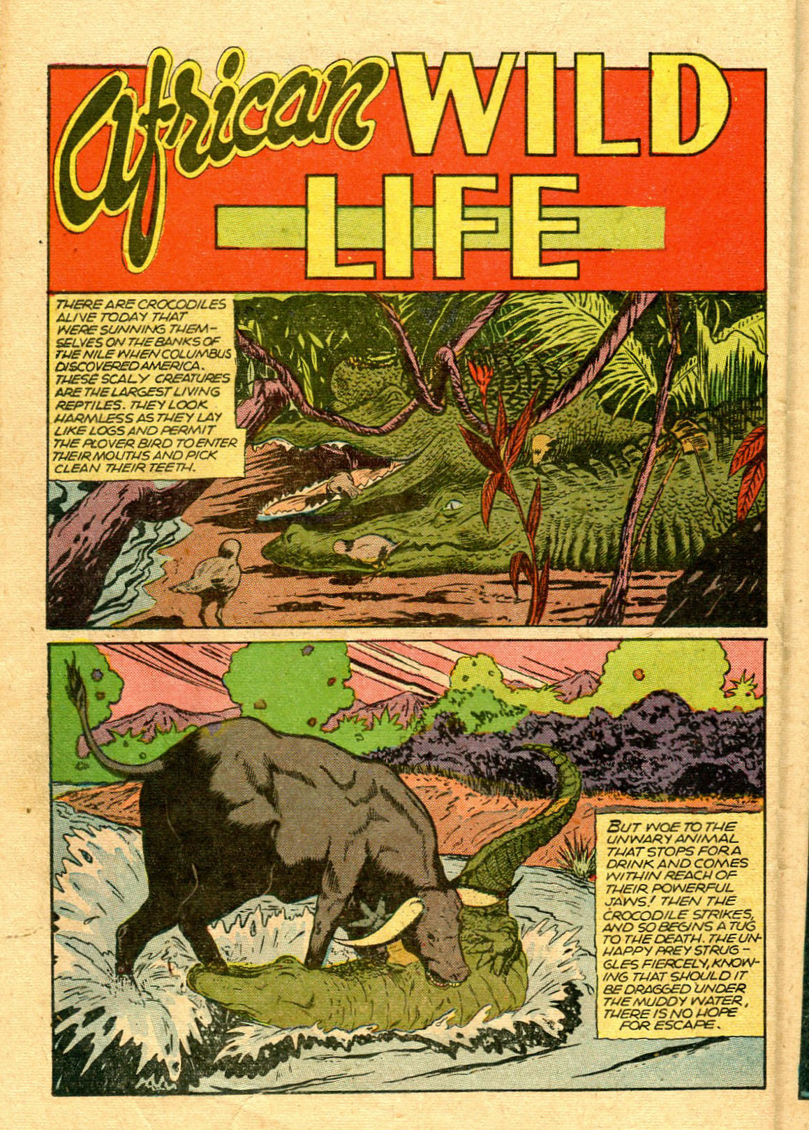 Read online Jungle Comics comic -  Issue #75 - 36