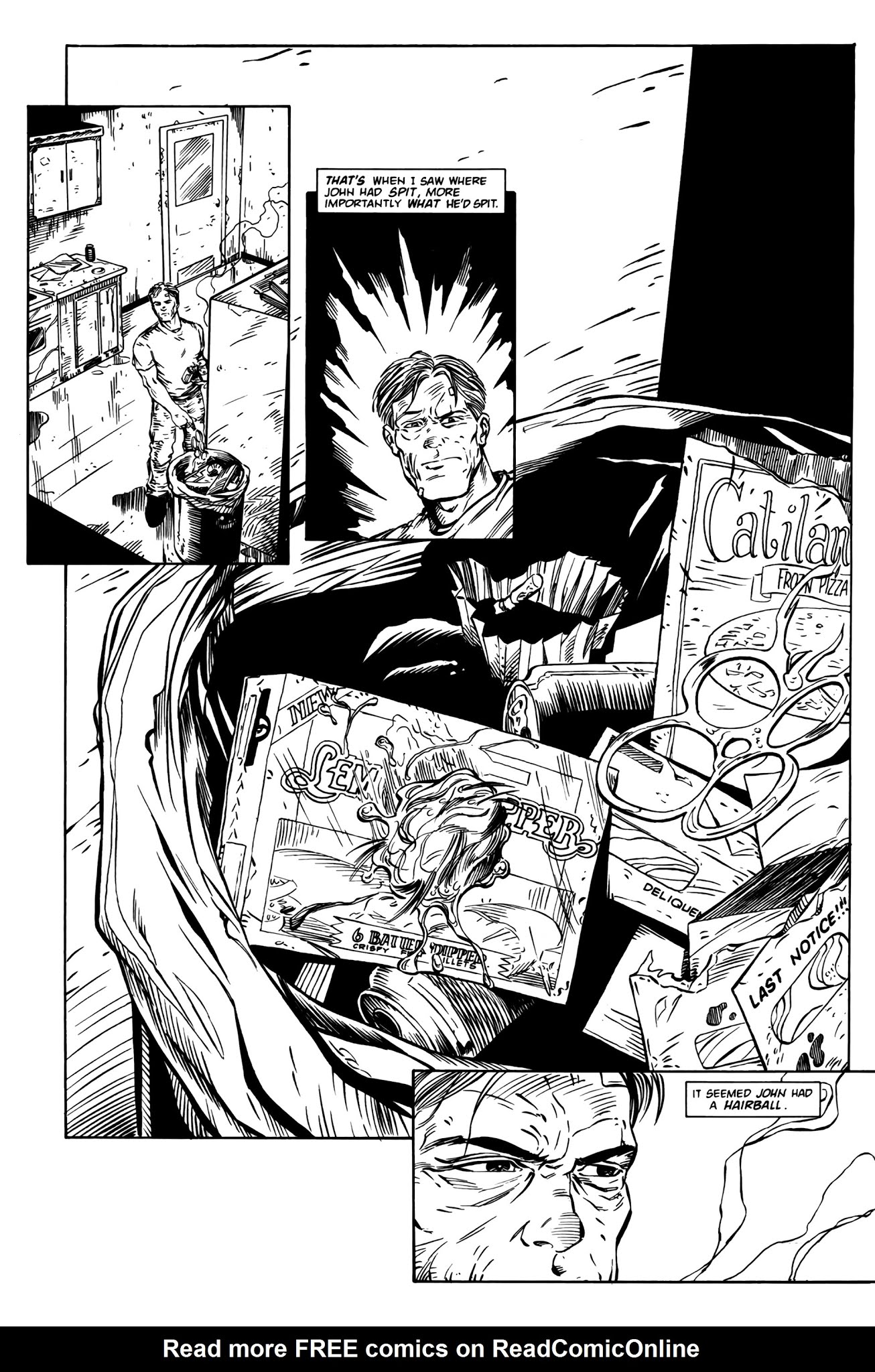 Read online Hairball: A Cal McDonald Mystery comic -  Issue # Full - 18