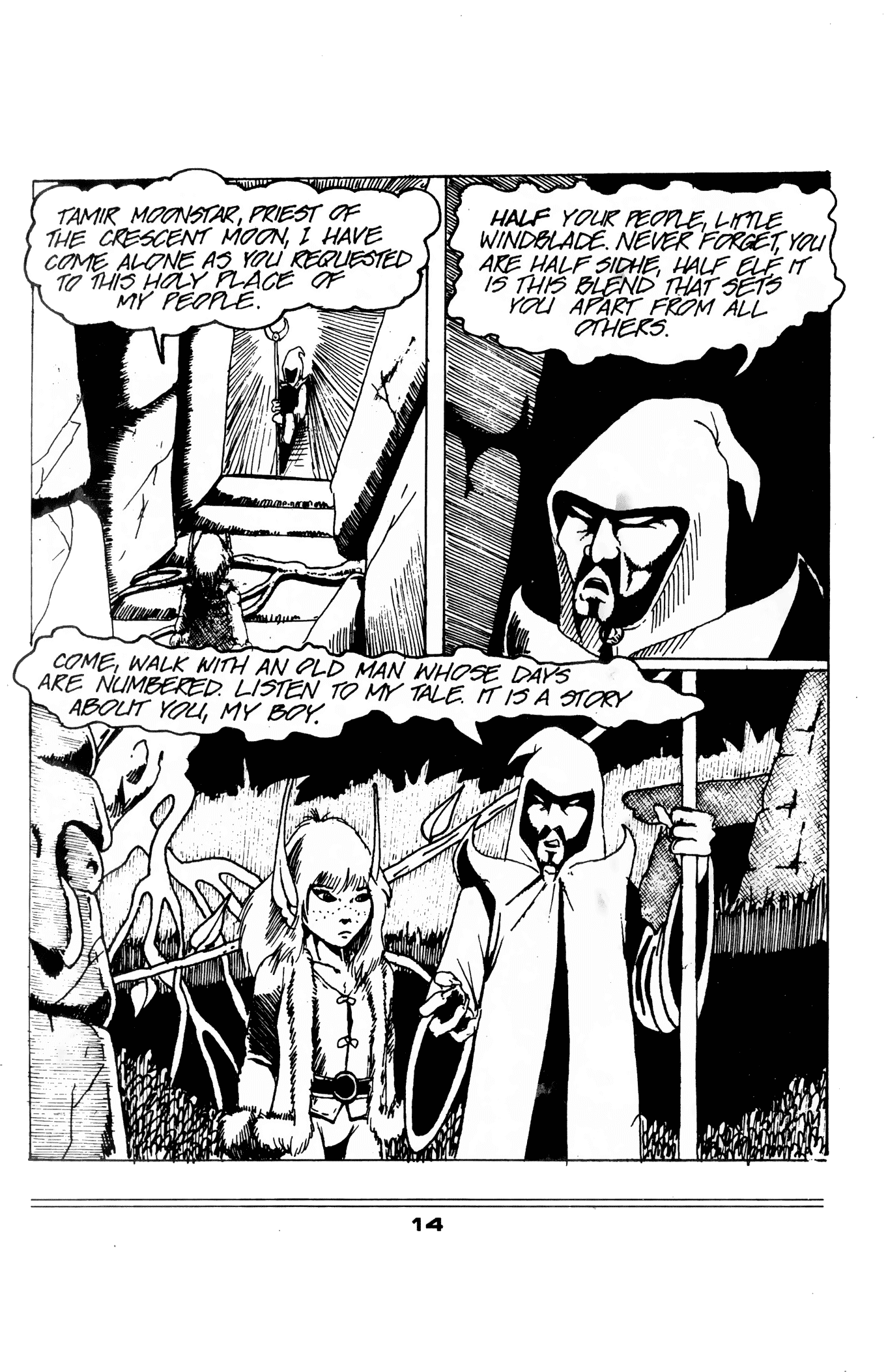 Read online Elflord Chronicles comic -  Issue #8 - 18