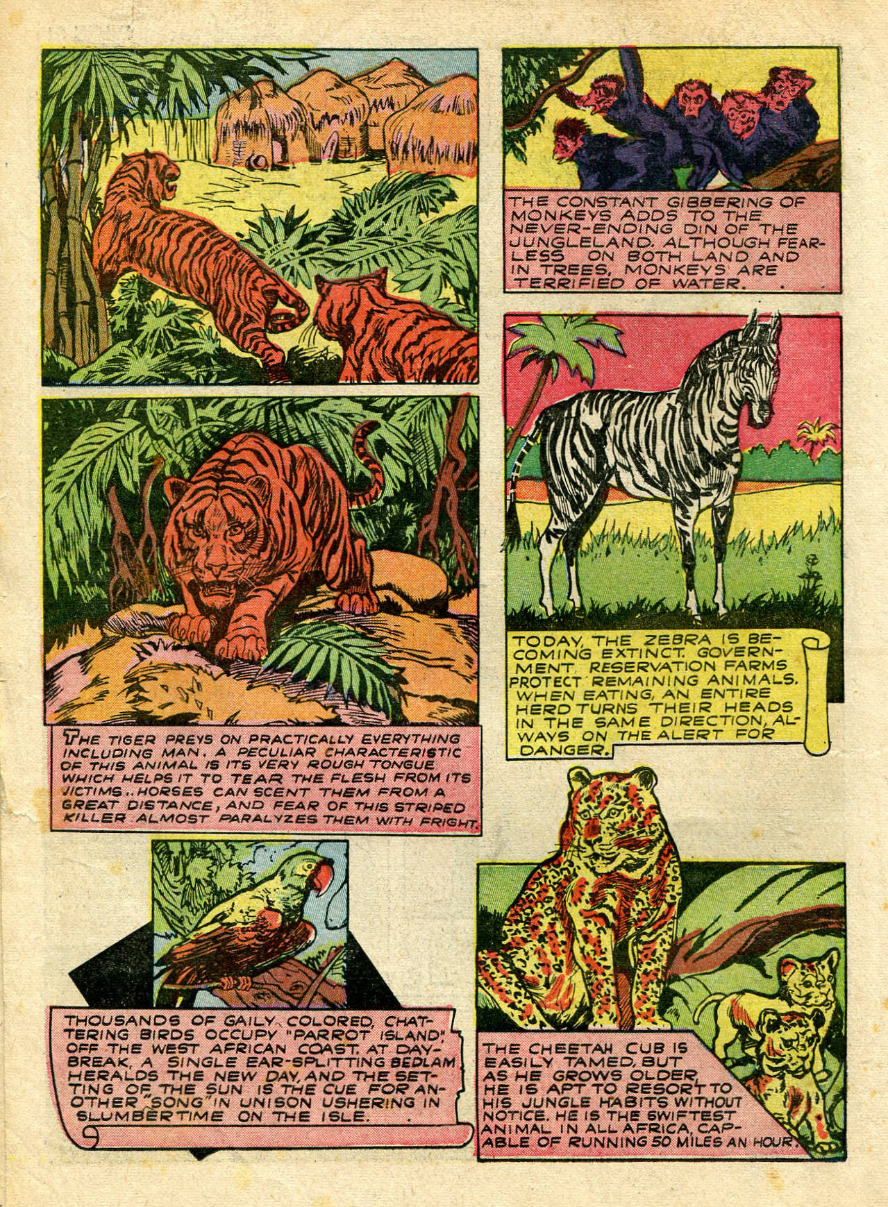 Read online Wambi Jungle Boy comic -  Issue #3 - 34