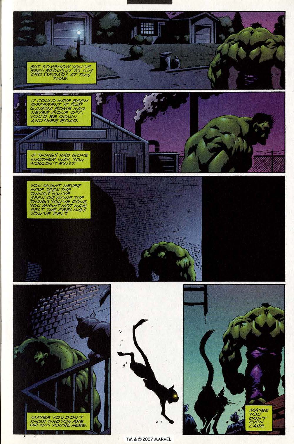 The Incredible Hulk (2000) Issue #26 #15 - English 5