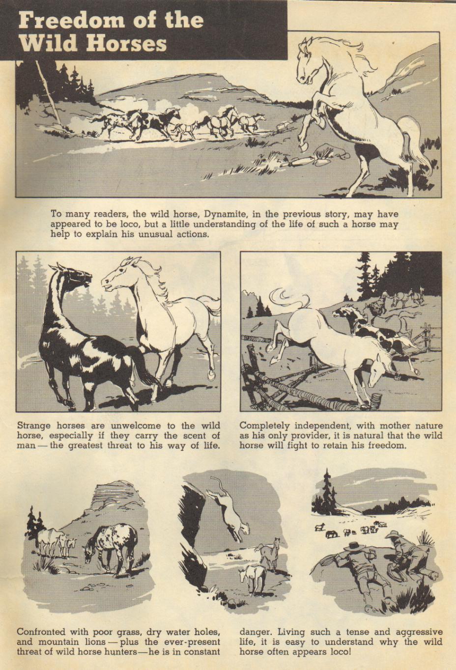 Read online Four Color Comics comic -  Issue #767 - 35