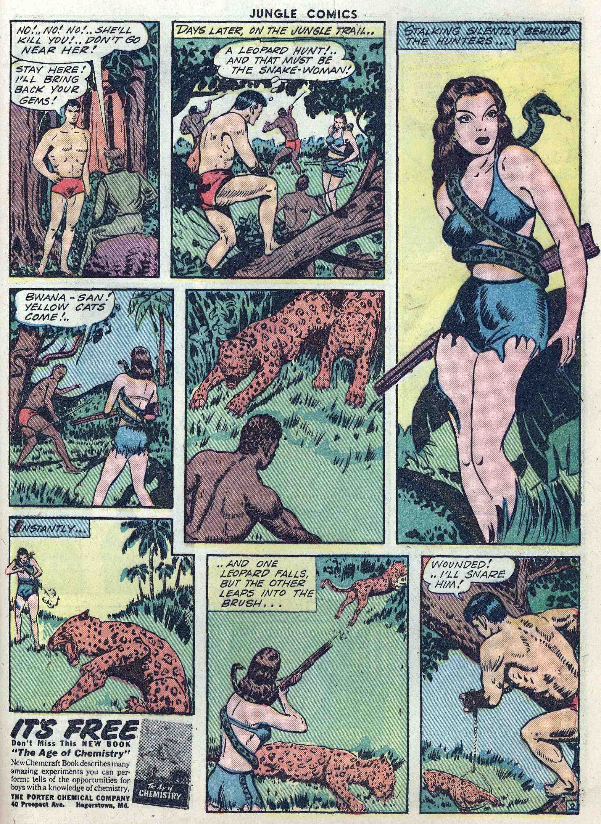 Read online Jungle Comics comic -  Issue #47 - 45