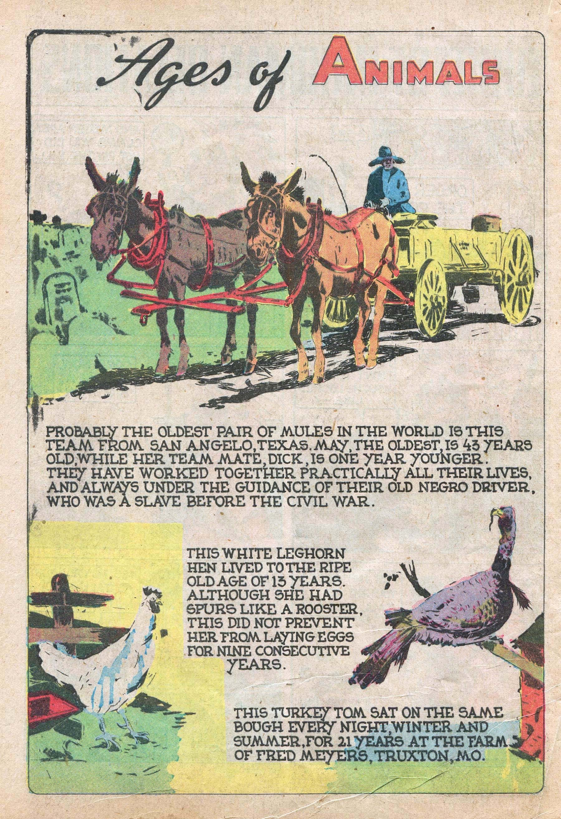 Read online Star Comics comic -  Issue #11 - 47