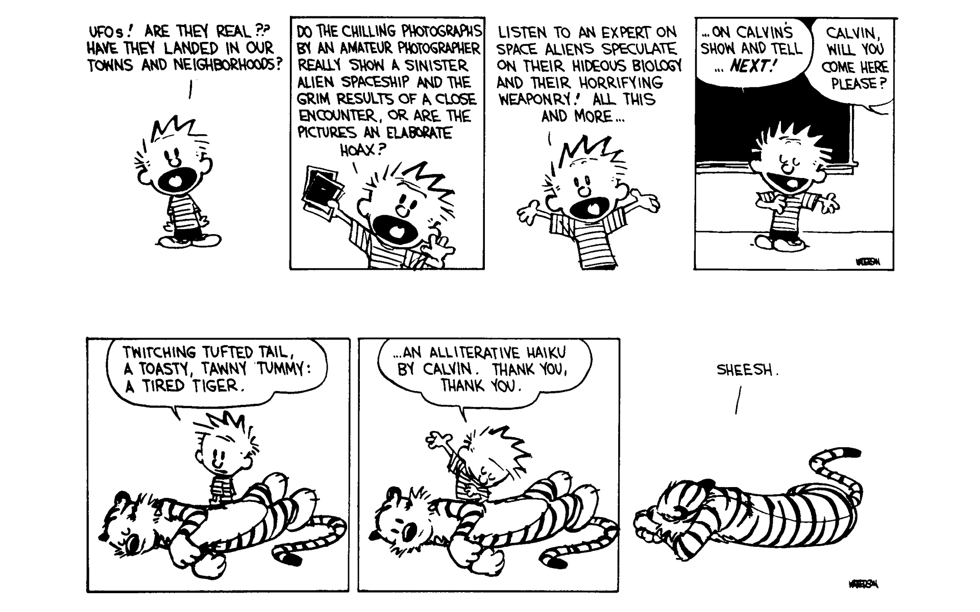 Read online Calvin and Hobbes comic -  Issue #6 - 154