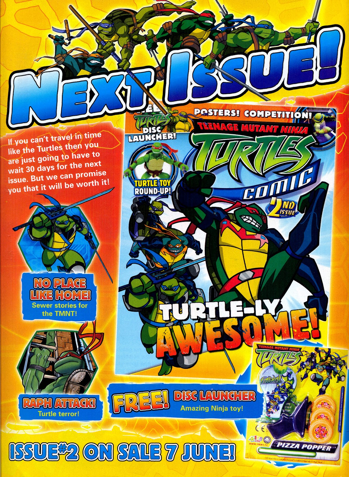 Teenage Mutant Ninja Turtles Comic issue 1 - Page 43