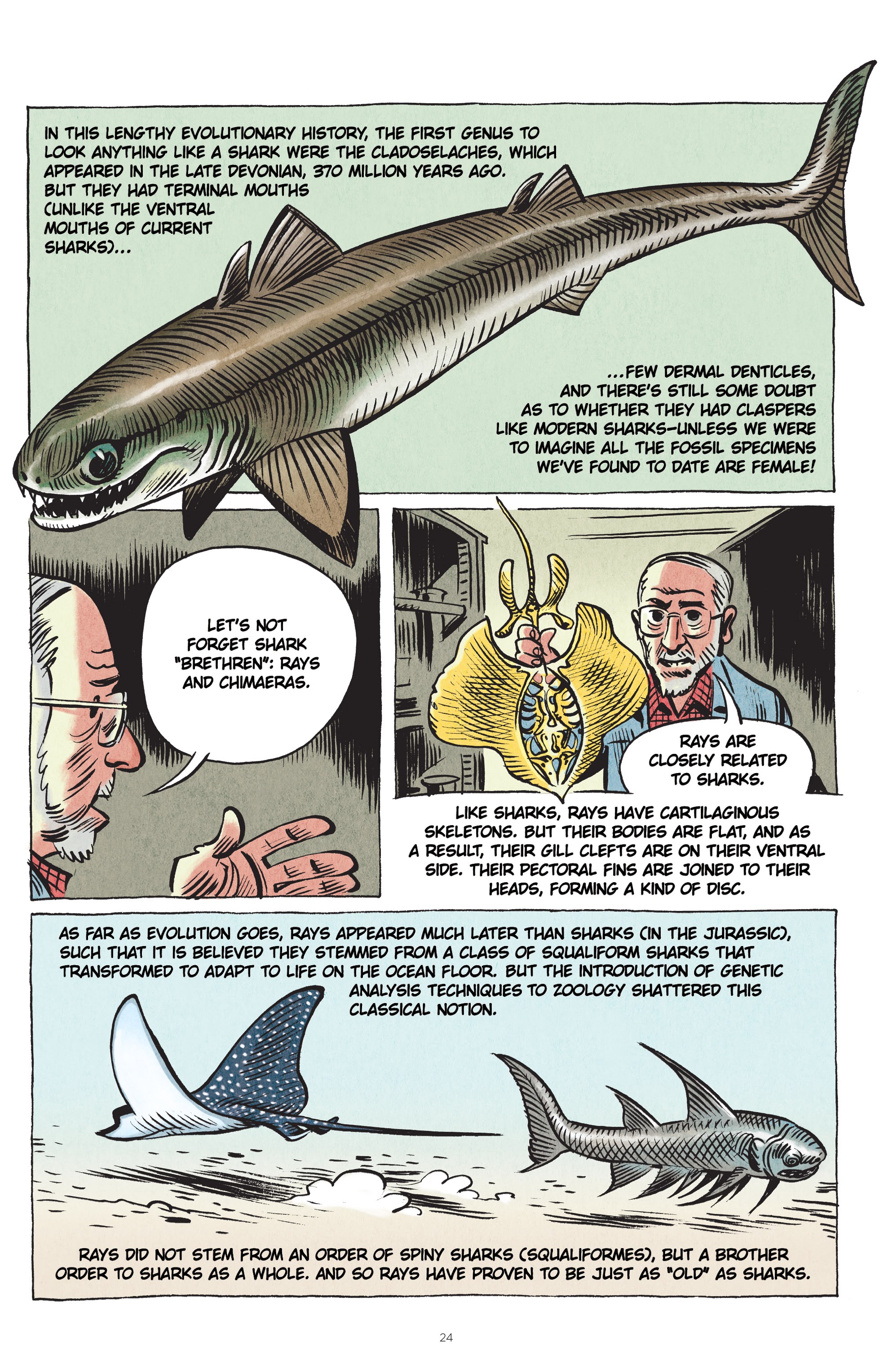 Read online Little Book of Knowledge: Sharks comic -  Issue # TPB - 24