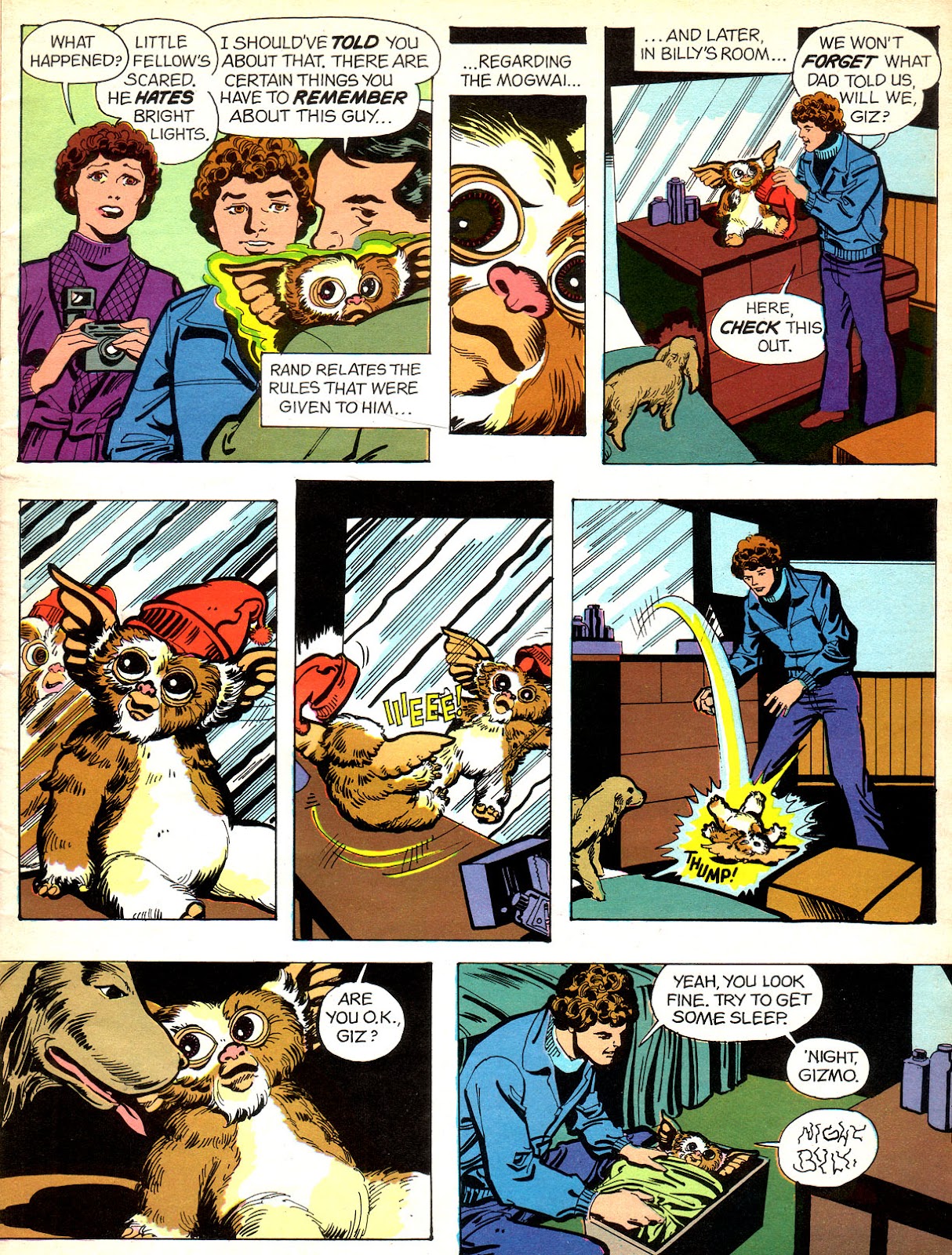 Gremlins: The Official Comic Strip Adaptation issue Full - Page 19