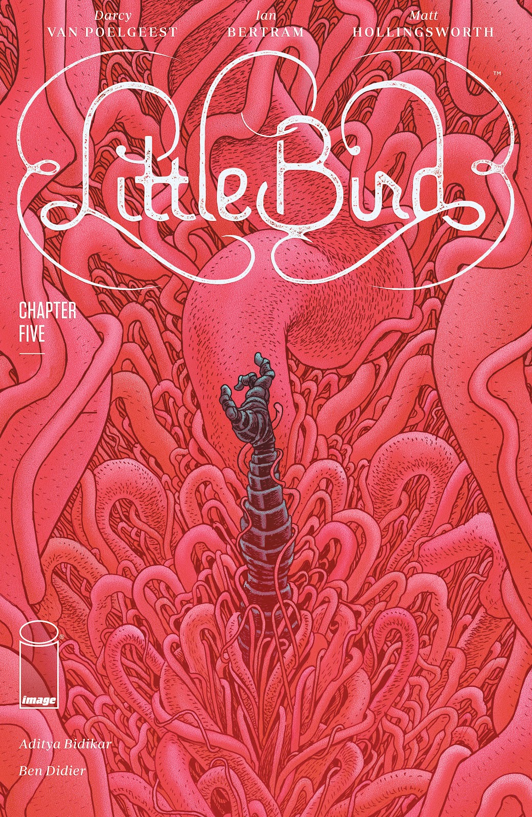 Little Bird issue 5 - Page 1