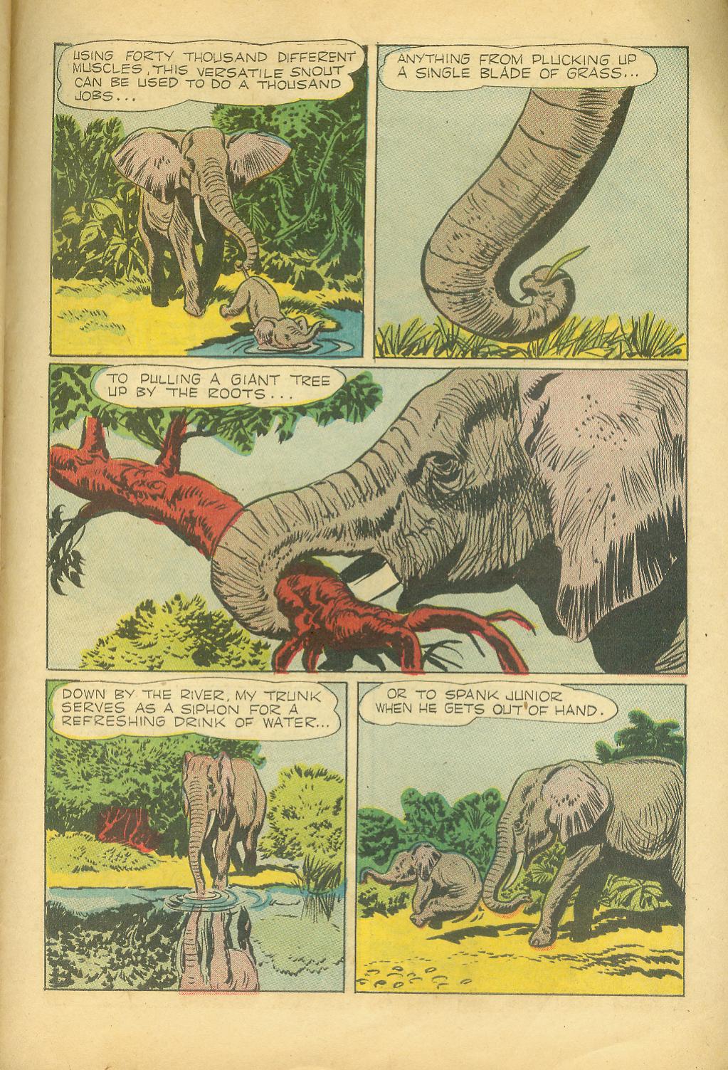 Read online Four Color Comics comic -  Issue #727 - 31