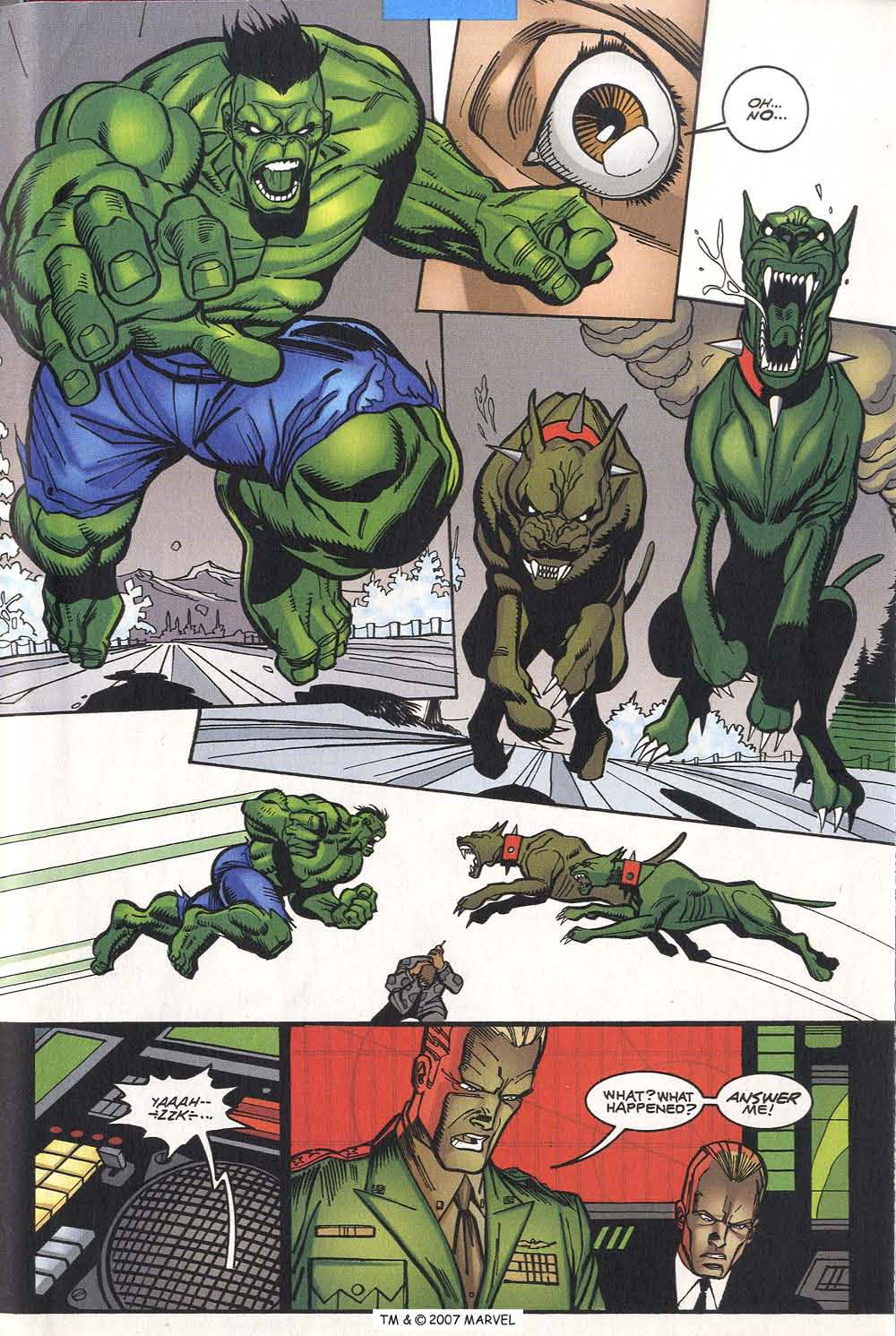 The Incredible Hulk (2000) Issue #14 #3 - English 33