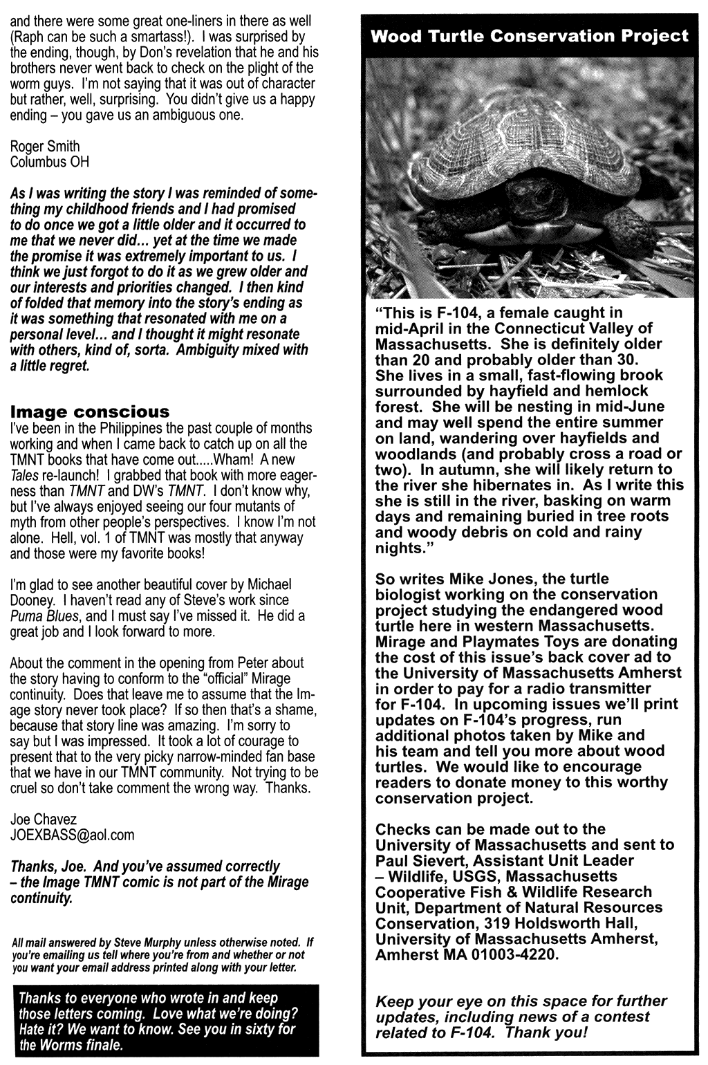 Tales of the TMNT issue 3 - Page 33