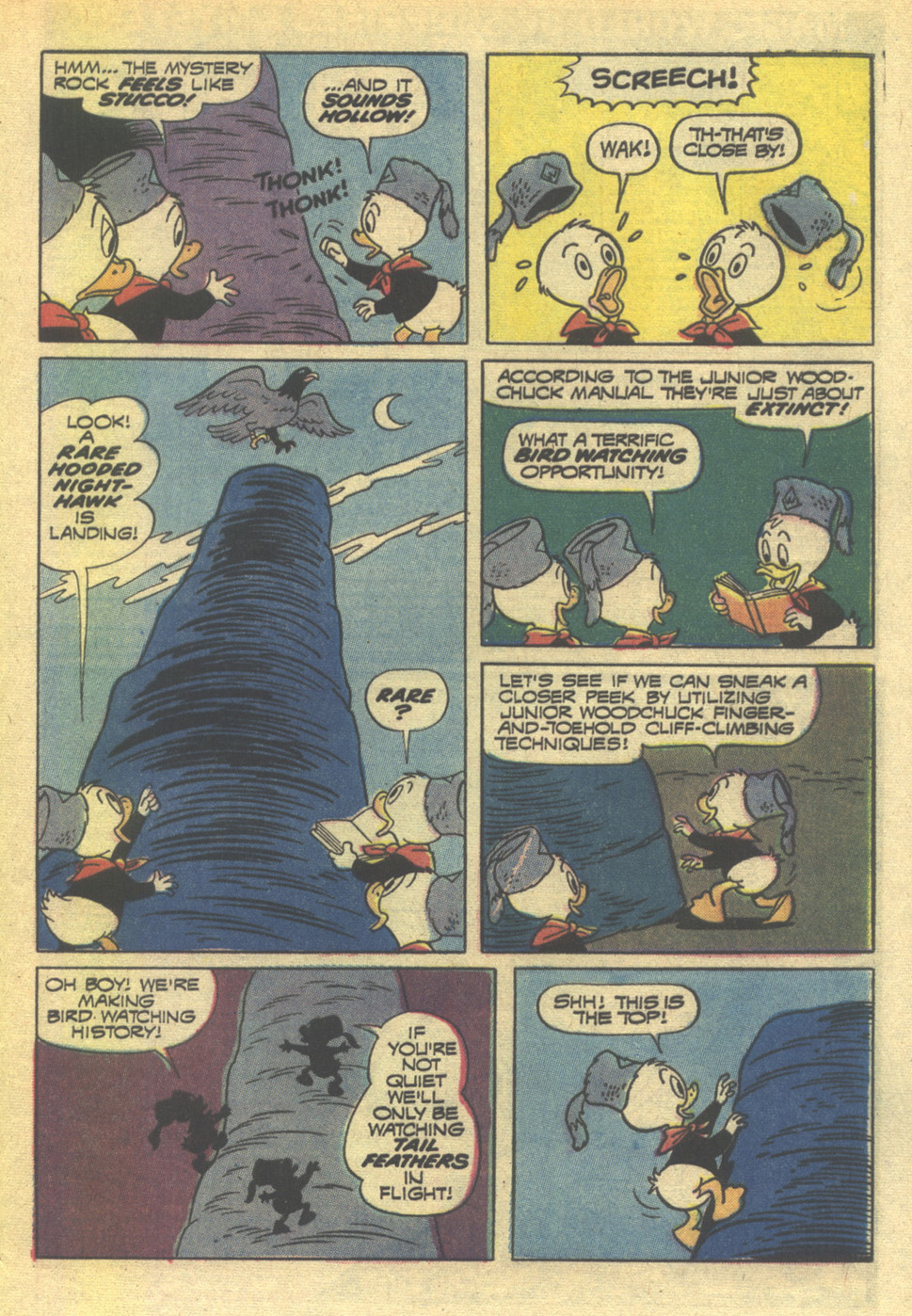 Read online Huey, Dewey, and Louie Junior Woodchucks comic -  Issue #14 - 29