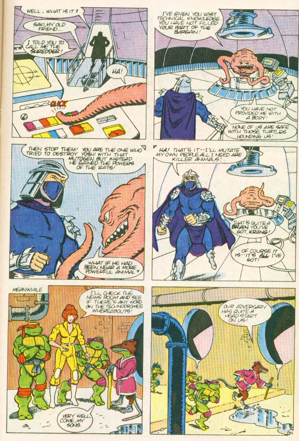 Read online Teenage Mutant Ninja Turtles Adventures (1988) comic -  Issue #1 - 25