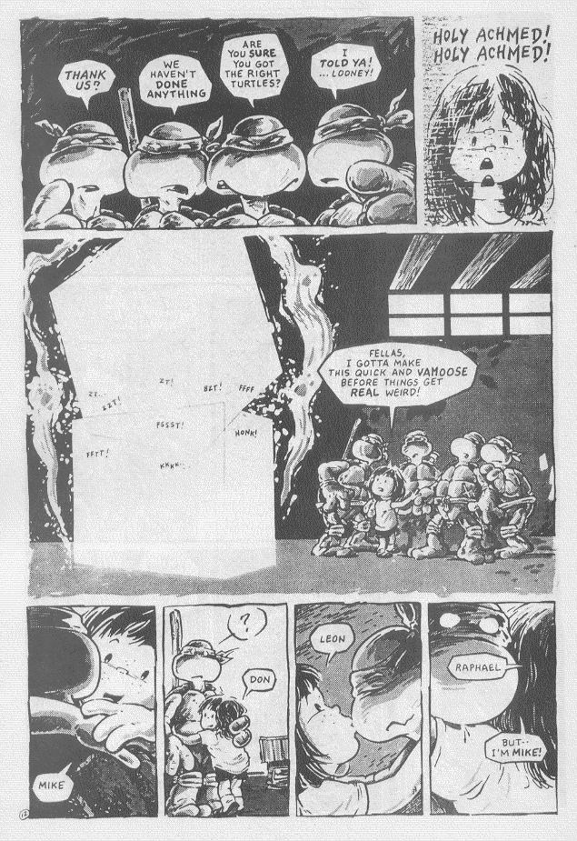 Read online Teenage Mutant Ninja Turtles (1984) comic -  Issue #16 - 15