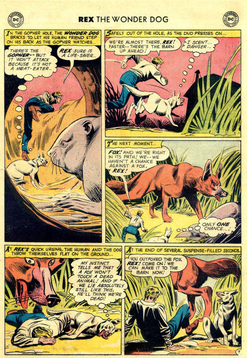 Read online The Adventures of Rex the Wonder Dog comic -  Issue #43 - 31