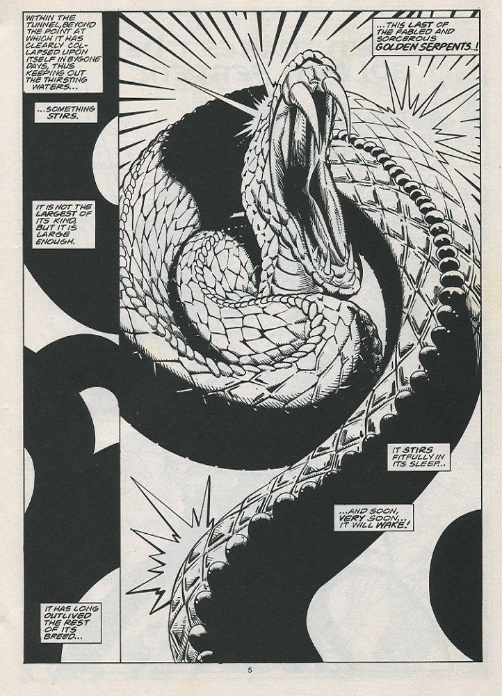 Read online The Savage Sword Of Conan comic -  Issue #215 - 7