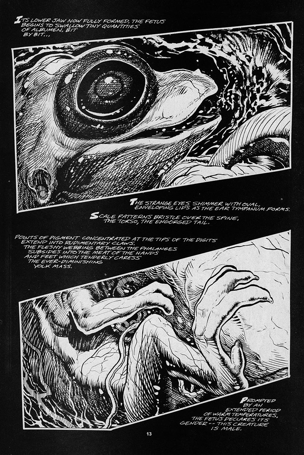 Read online S.R. Bissette's Tyrant comic -  Issue #3 - 15