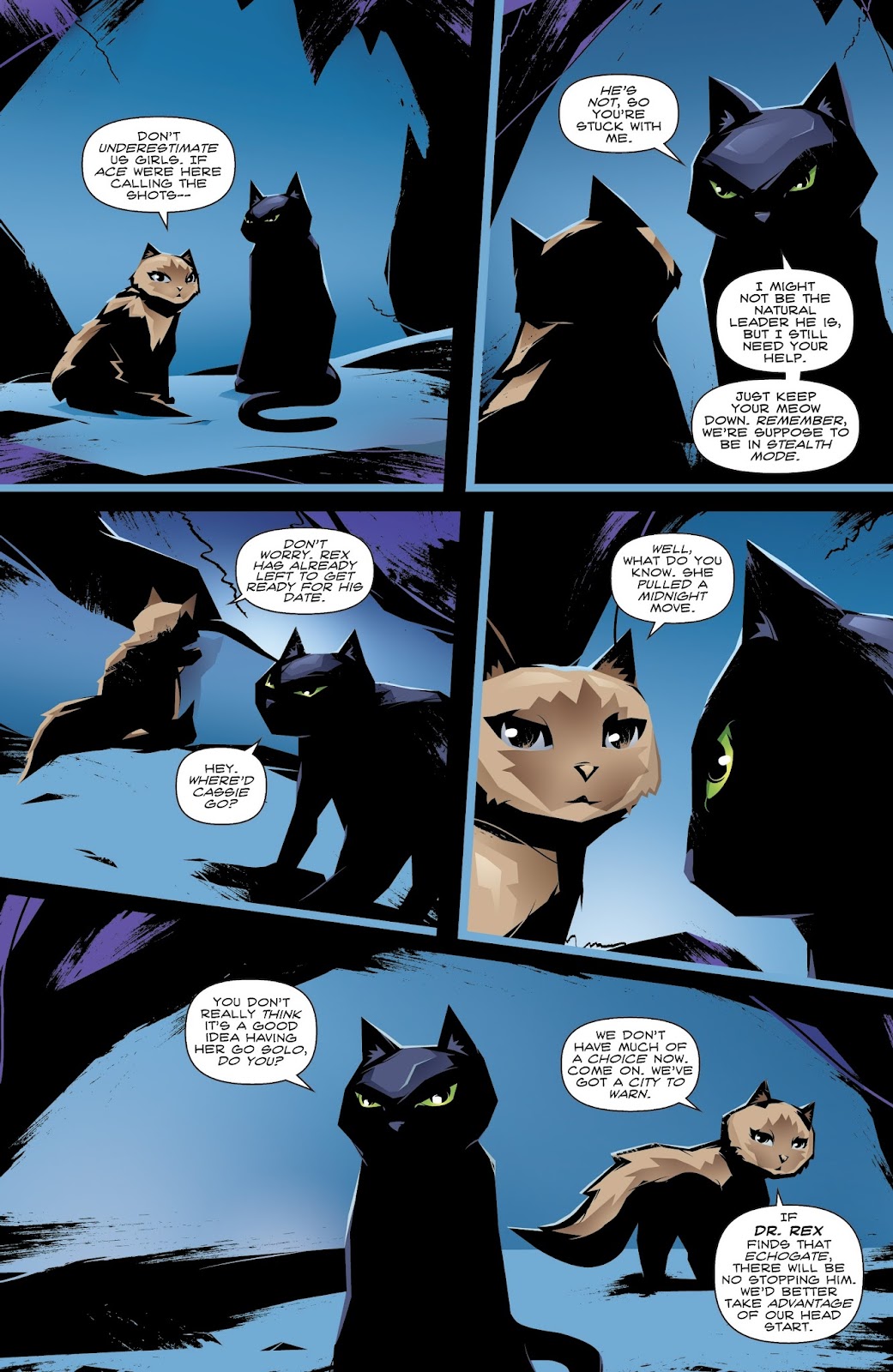 Hero Cats: Midnight Over Stellar City Vol. 2 issue 2 - Page 22