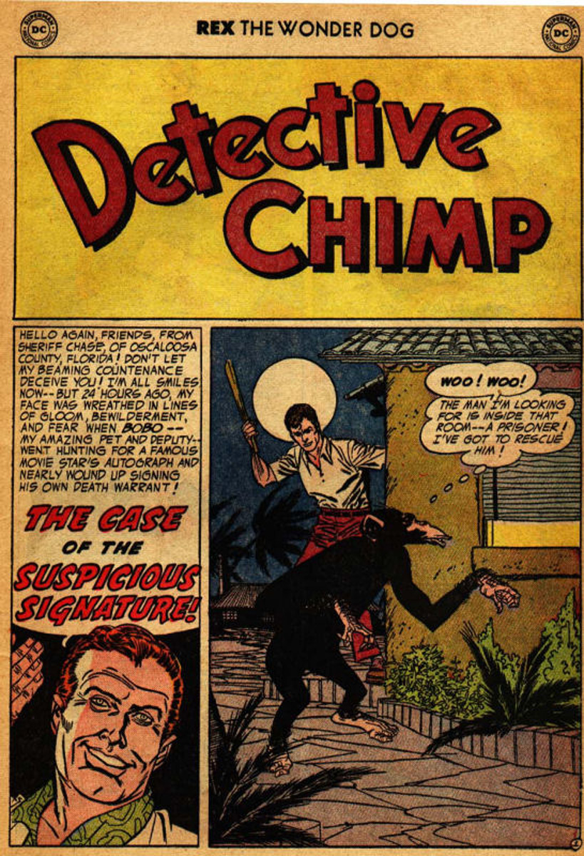 Read online The Adventures of Rex the Wonder Dog comic -  Issue #17 - 15