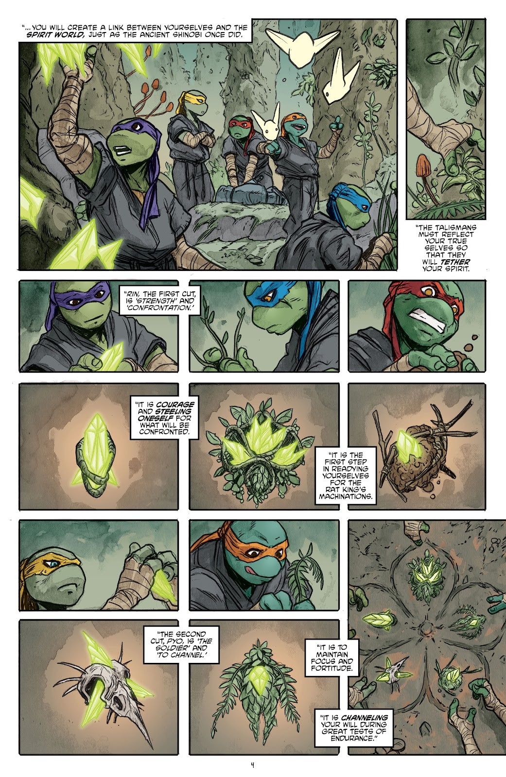 Teenage Mutant Ninja Turtles (2011) issue 132 - Page 6