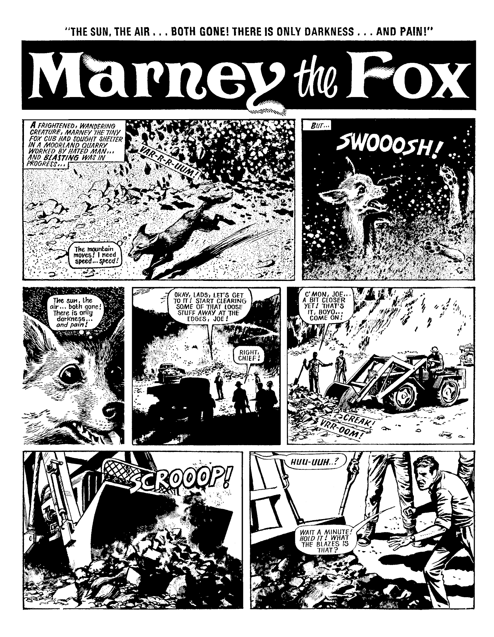 Read online Marney the Fox comic -  Issue # TPB (Part 1) - 17