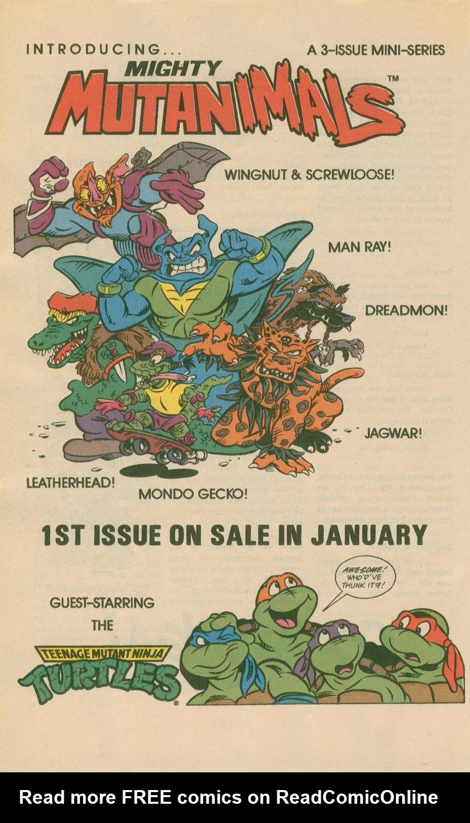 Read online Teenage Mutant Ninja Turtles Adventures (1989) comic -  Issue # _Spring 1991 - 66