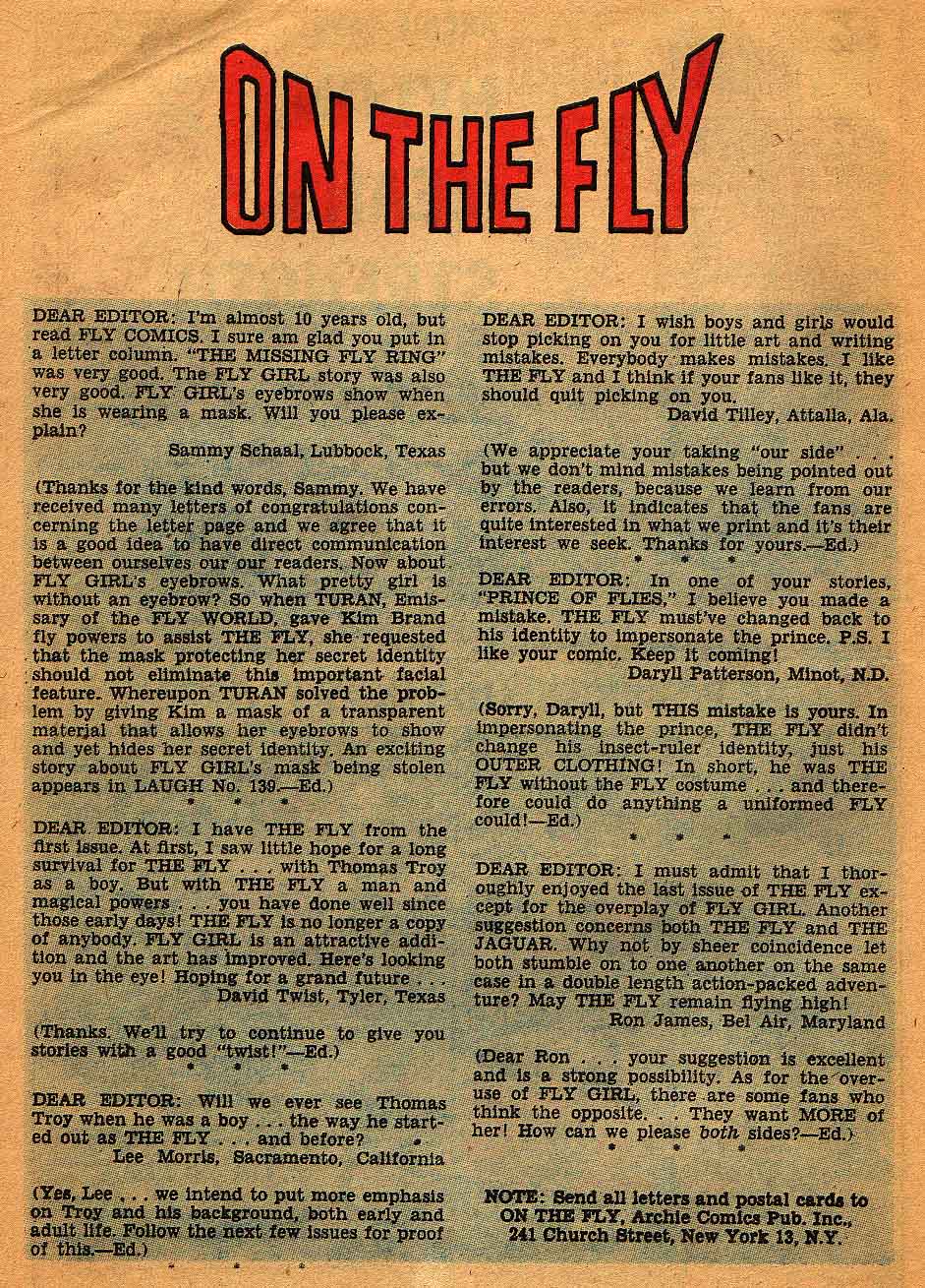 Adventures of the Fly issue 28 - Page 26