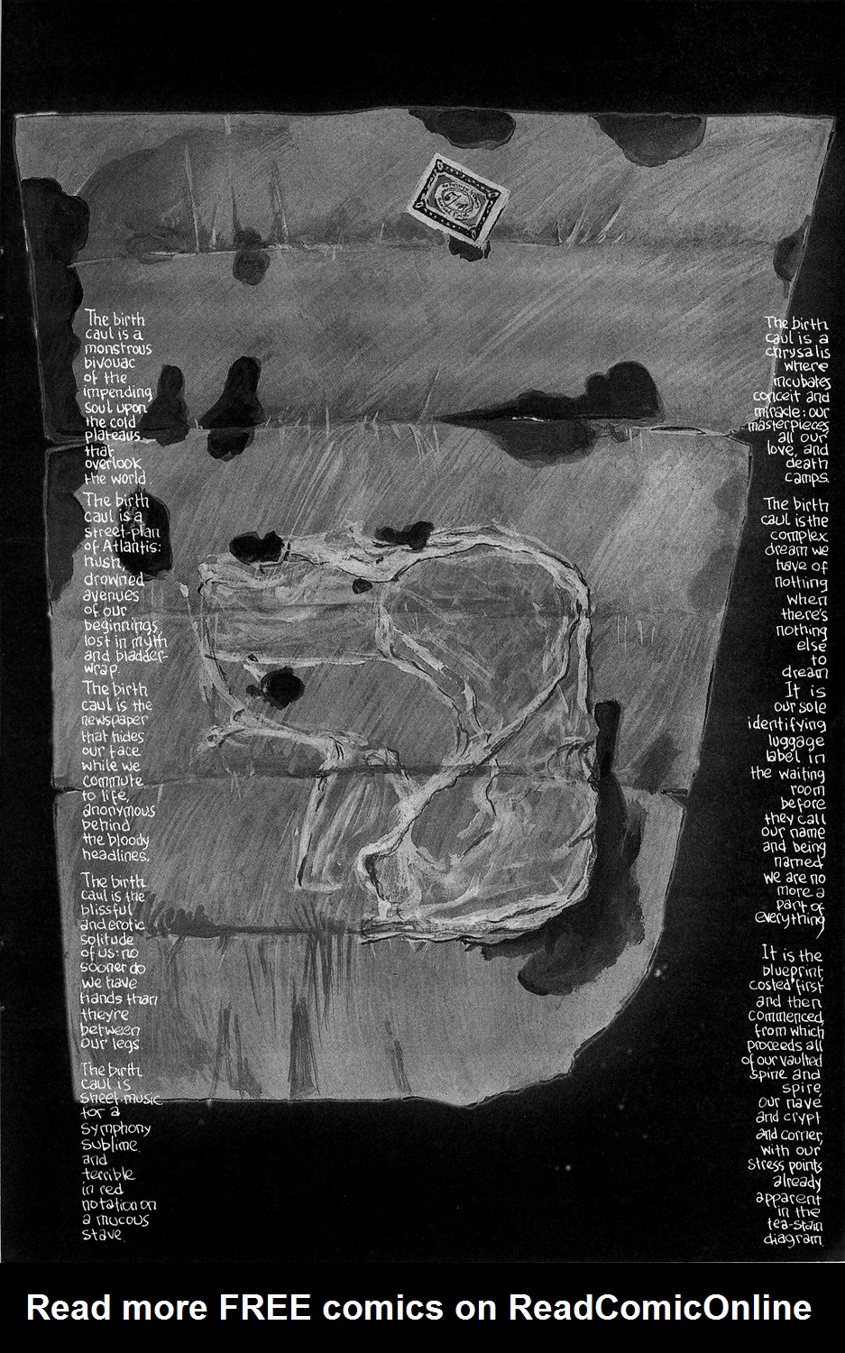 Read online The Birth Caul comic -  Issue # Full - 45