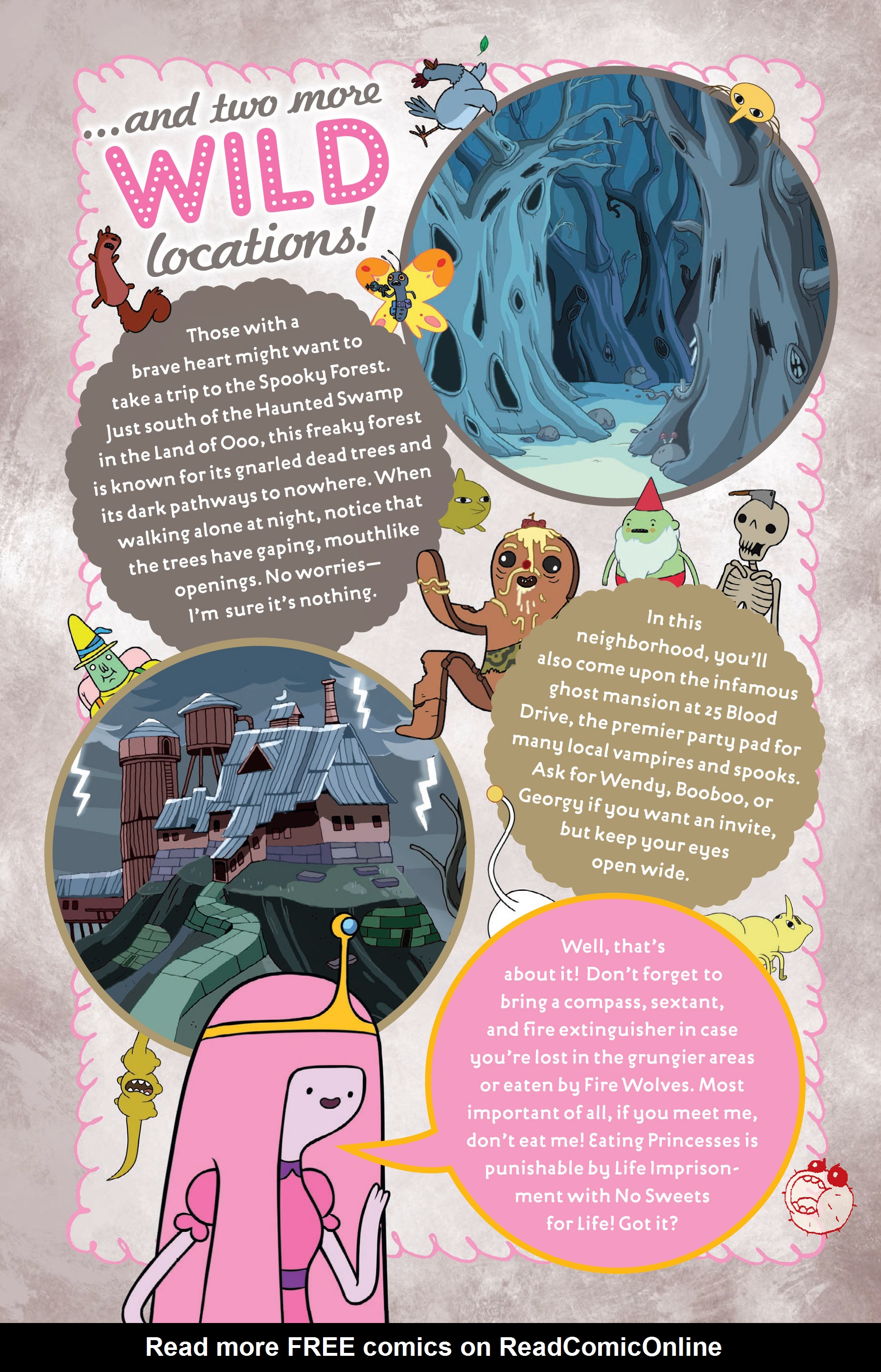 Read online The Adventure Time Encyclopaedia comic -  Issue # TPB (Part 2) - 23