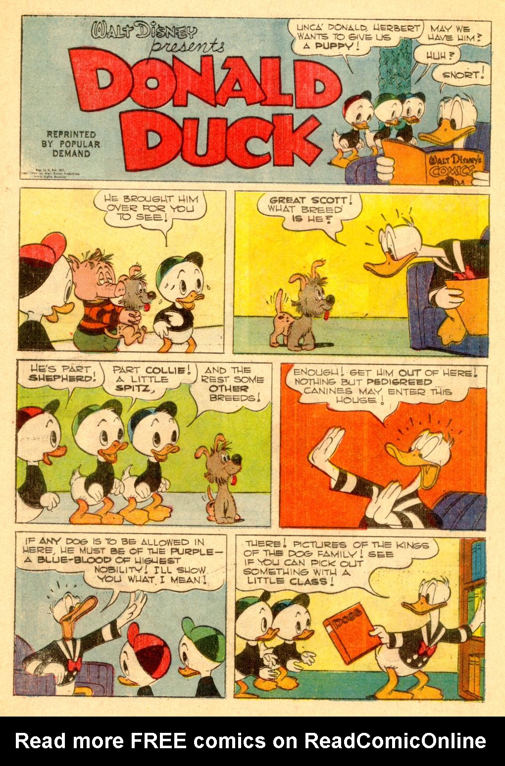Walt Disney's Comics and Stories issue 305 - Page 24