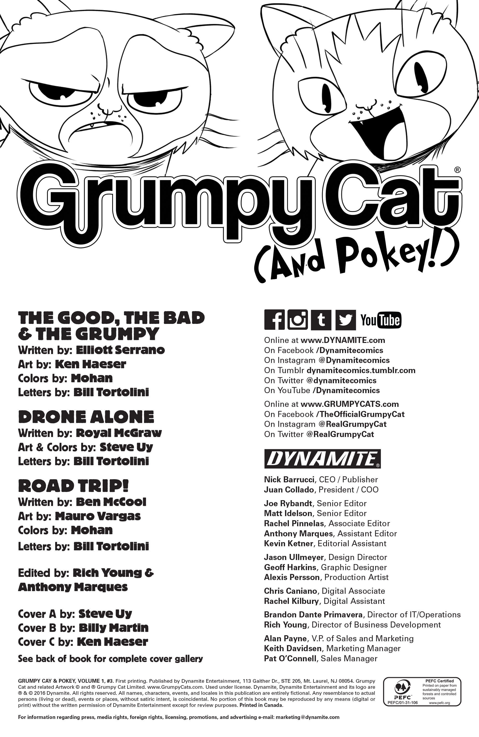 Read online Grumpy Cat & Pokey comic -  Issue #3 - 2