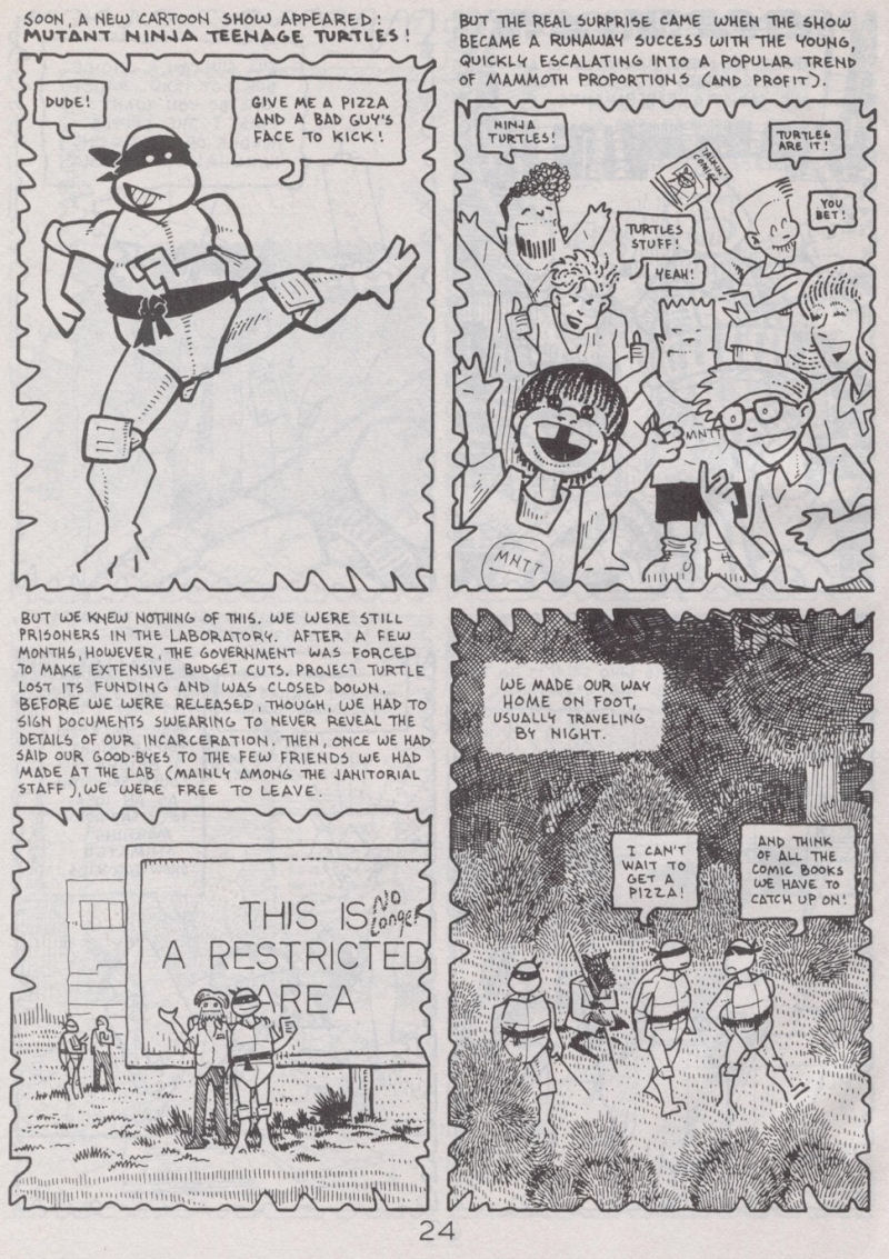 Teenage Mutant Ninja Turtles (1984) Issue #41 #41 - English 25