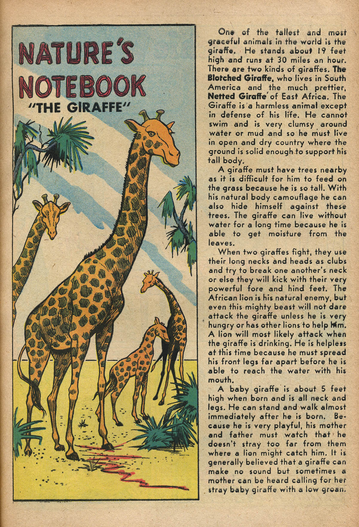Read online Little Archie (1956) comic -  Issue #4 - 41