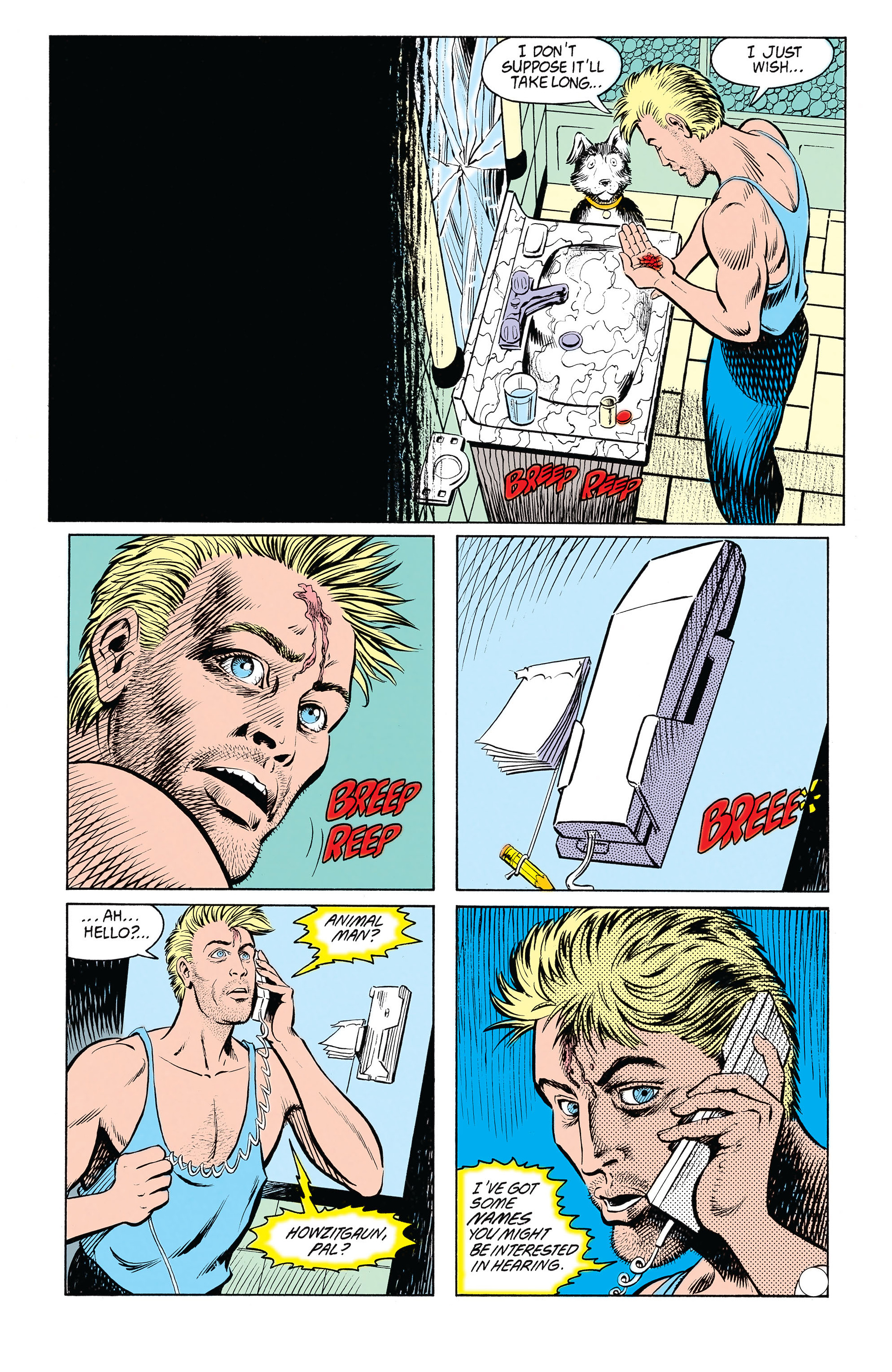 Read online Animal Man (1988) comic -  Issue #20 - 24