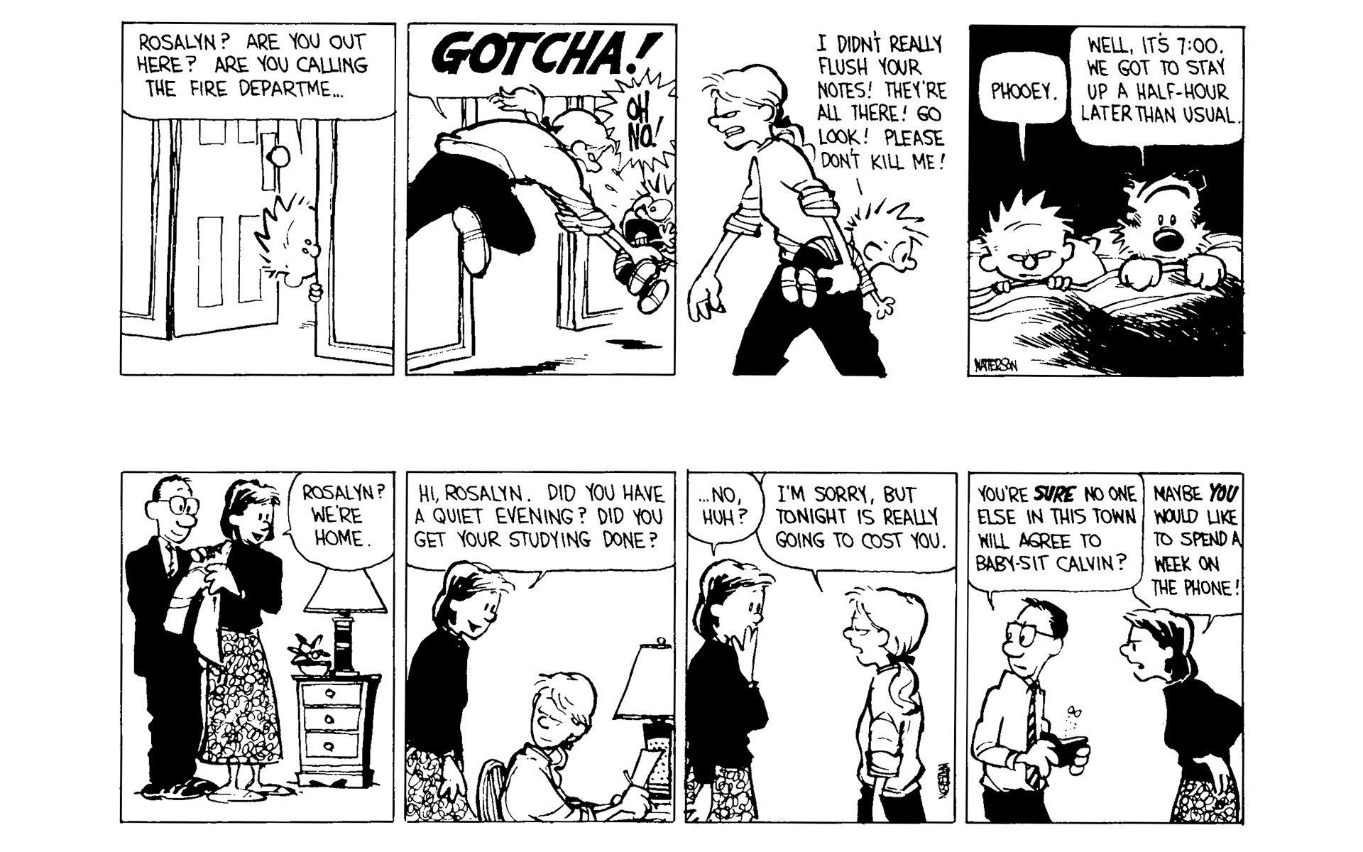 Read online Calvin and Hobbes comic -  Issue #5 - 51