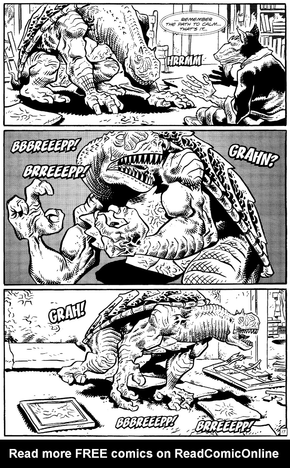 TMNT: Teenage Mutant Ninja Turtles issue 18 - Page 19