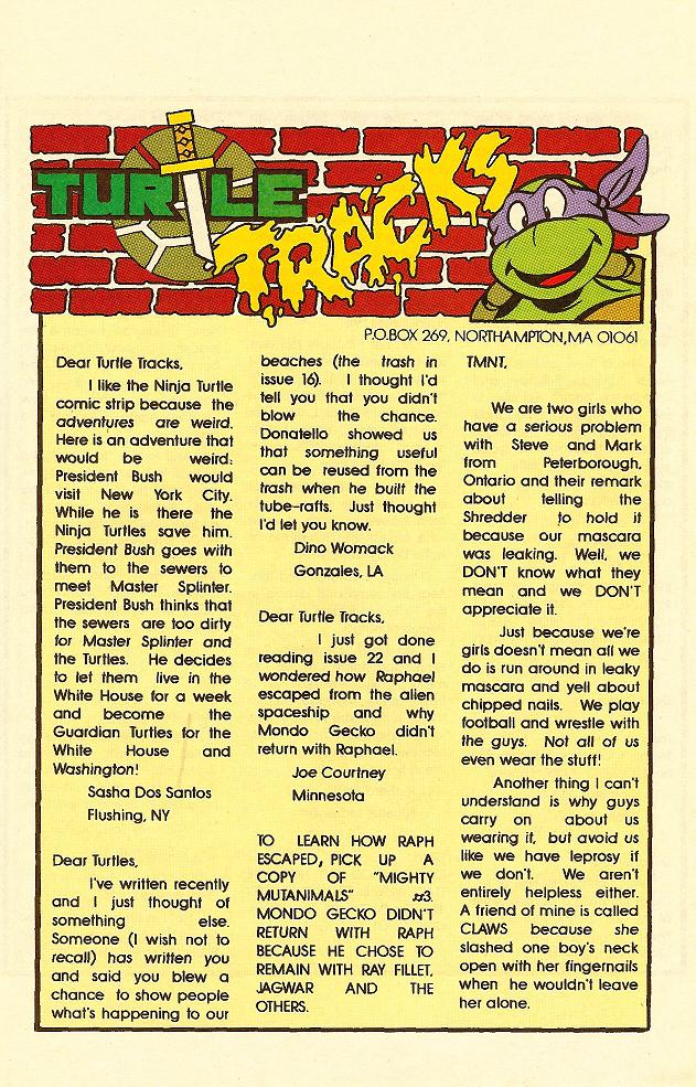 Read online Teenage Mutant Ninja Turtles Adventures (1989) comic -  Issue #24 - 22