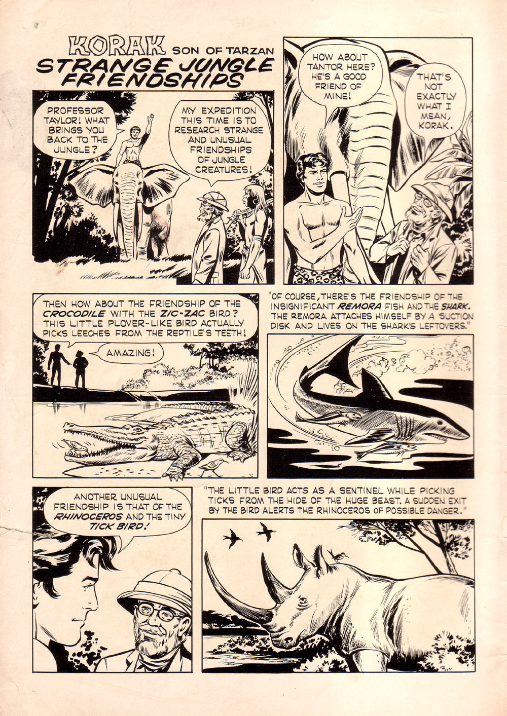 Read online Korak, Son of Tarzan (1964) comic -  Issue #12 - 2