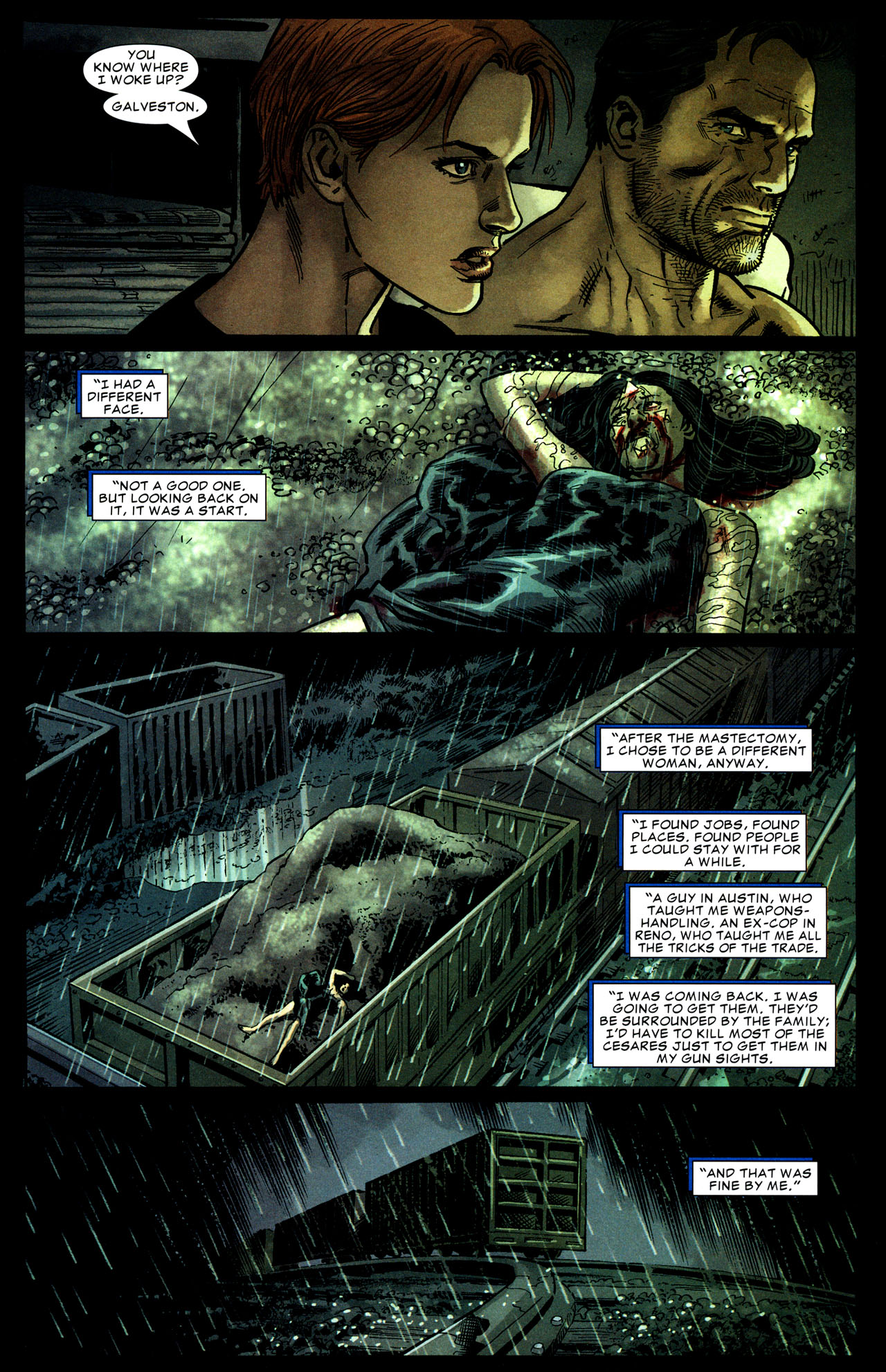 The Punisher (2004) Issue #47 #47 - English 23