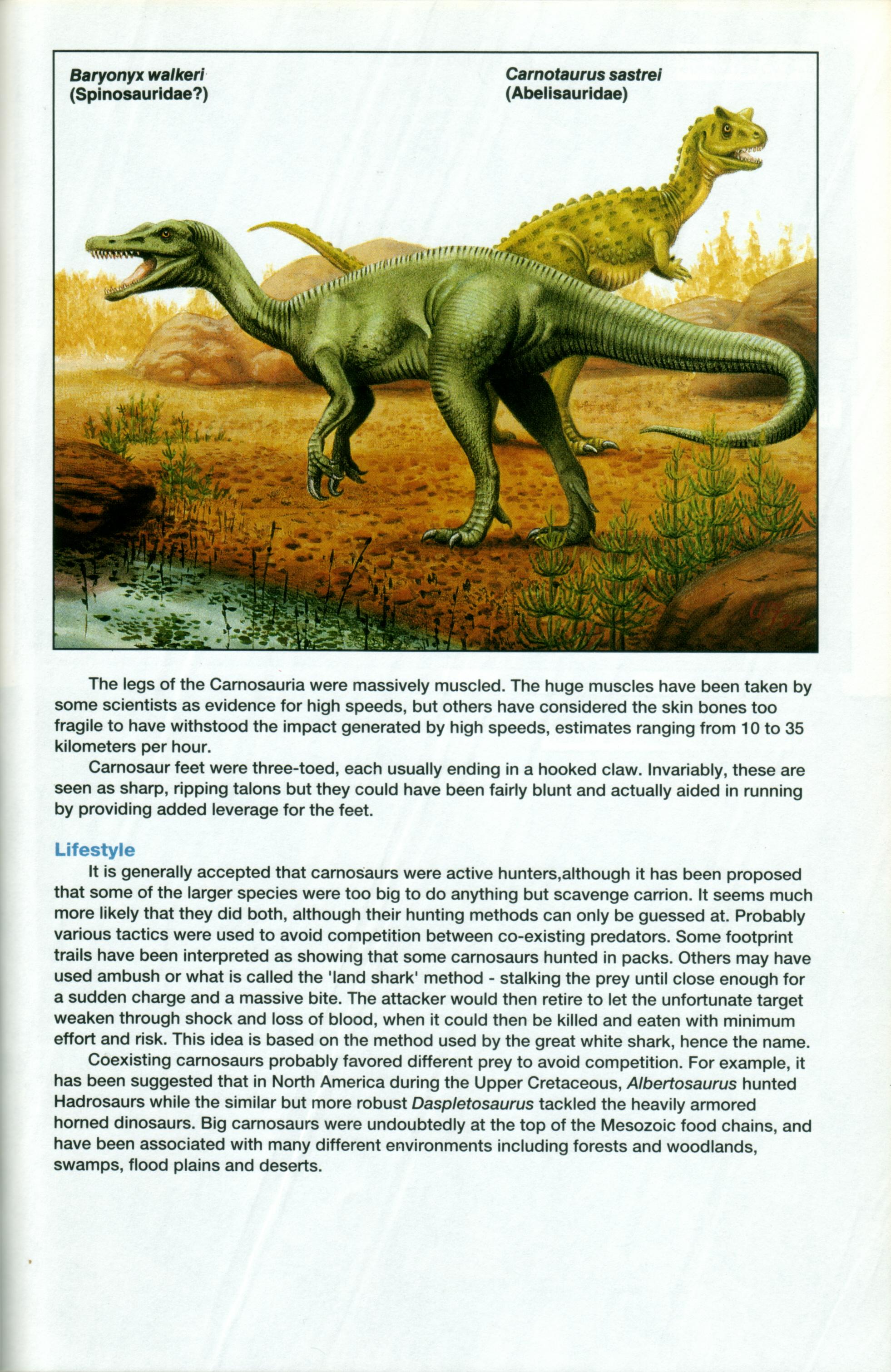 Read online Dinosaurs, A Celebration comic -  Issue #1 - 24