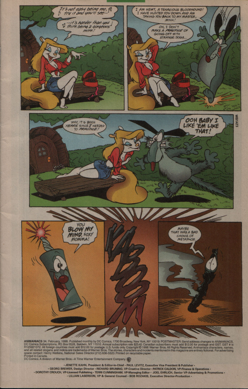 Read online Animaniacs comic -  Issue #34 - 2