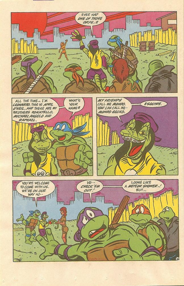 Read online Teenage Mutant Ninja Turtles Adventures (1989) comic -  Issue #18 - 25