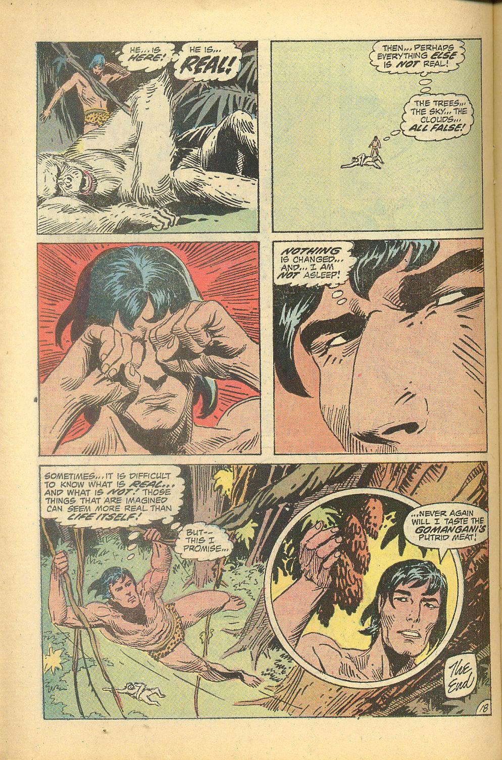 Read online Tarzan (1972) comic -  Issue #214 - 22