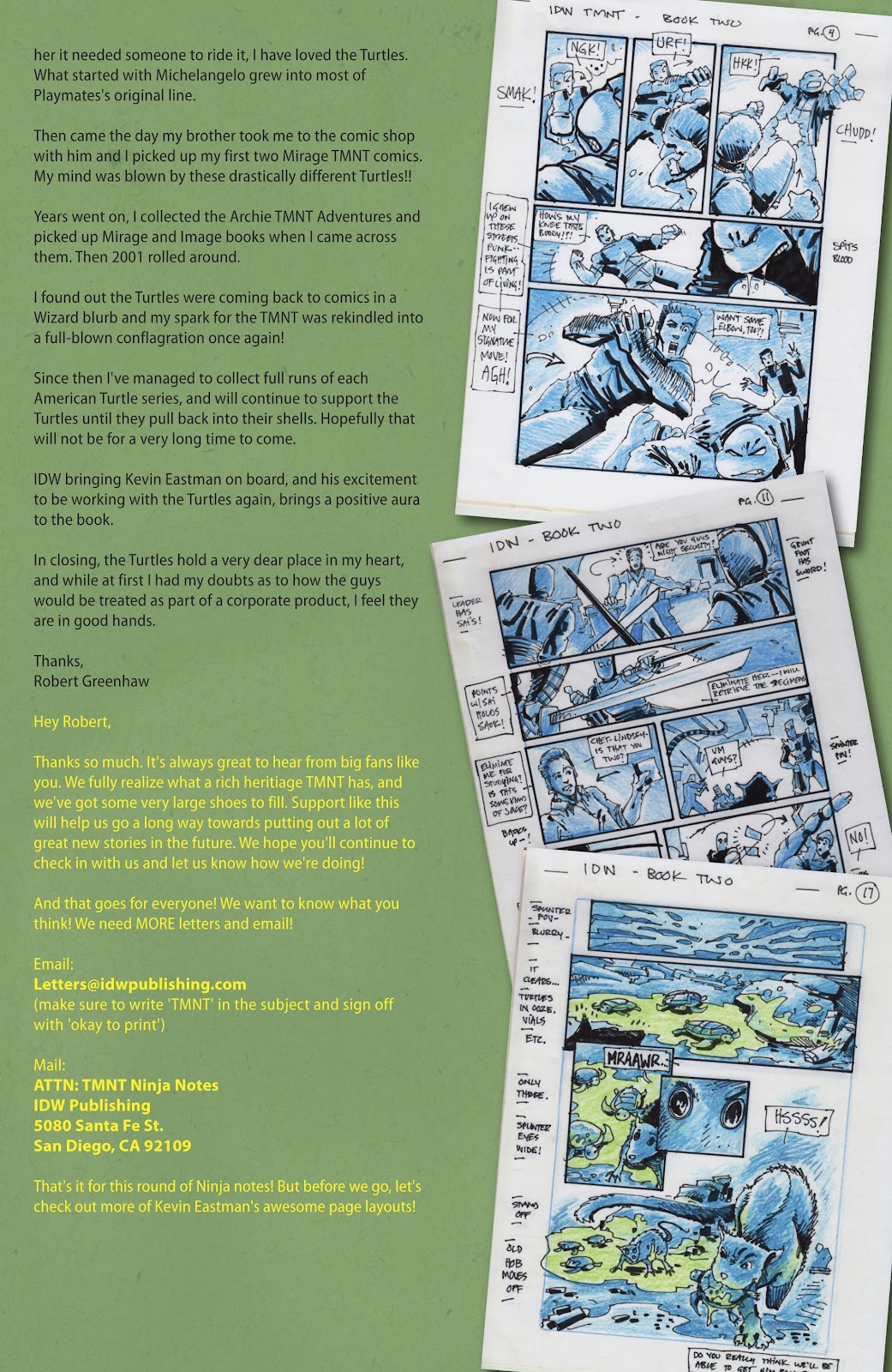 Teenage Mutant Ninja Turtles (2011) issue 2 - Page 31