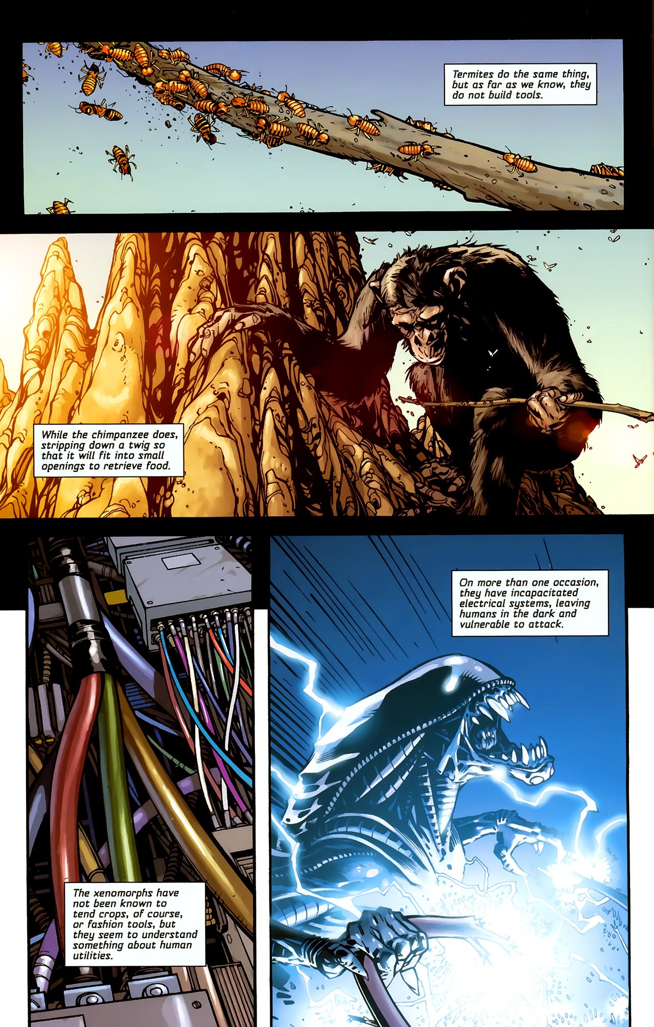 Read online Free Comic Book Day Aliens/Predator comic -  Issue # Full - 8