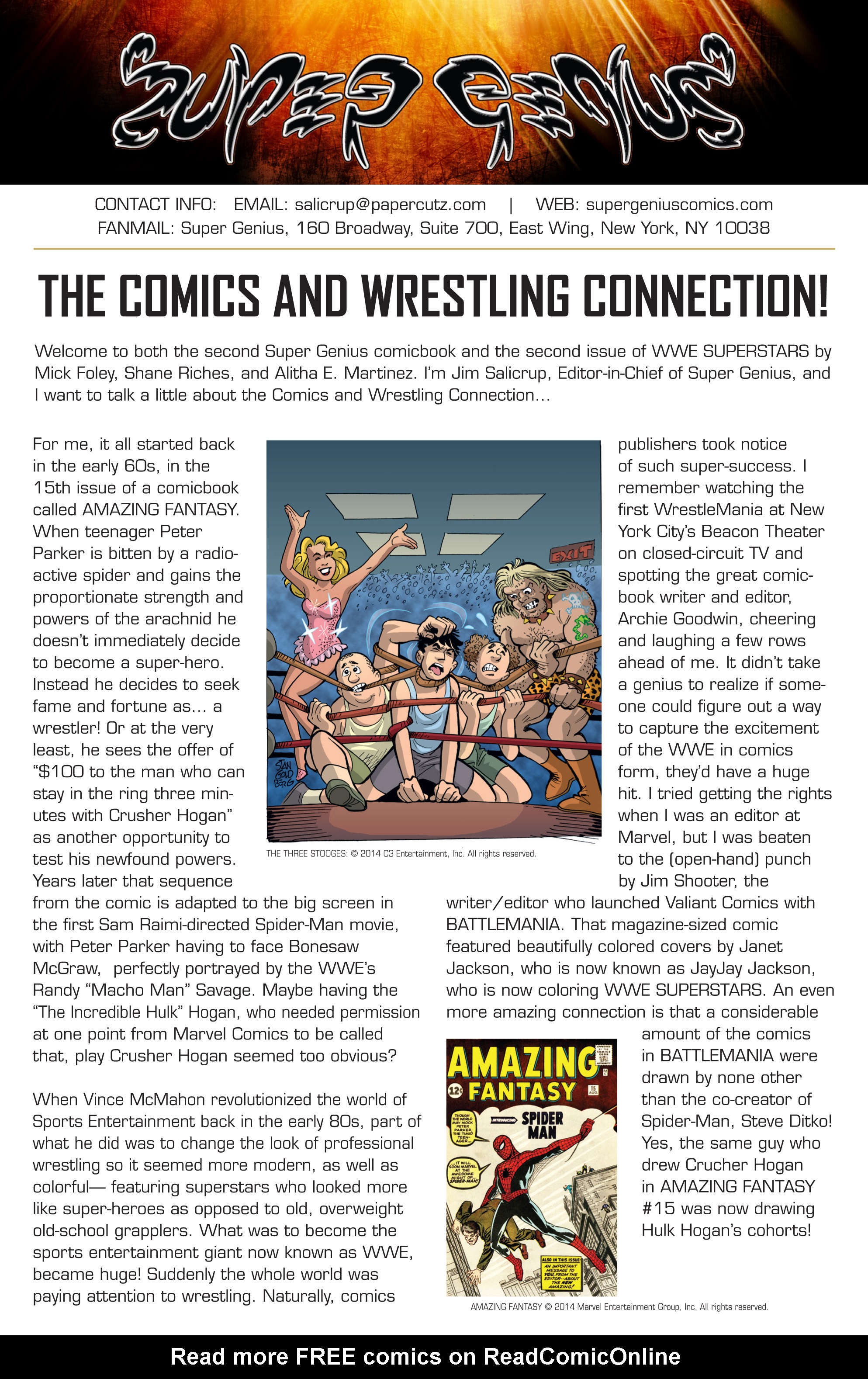 Read online WWE Superstars comic -  Issue #2 - 26