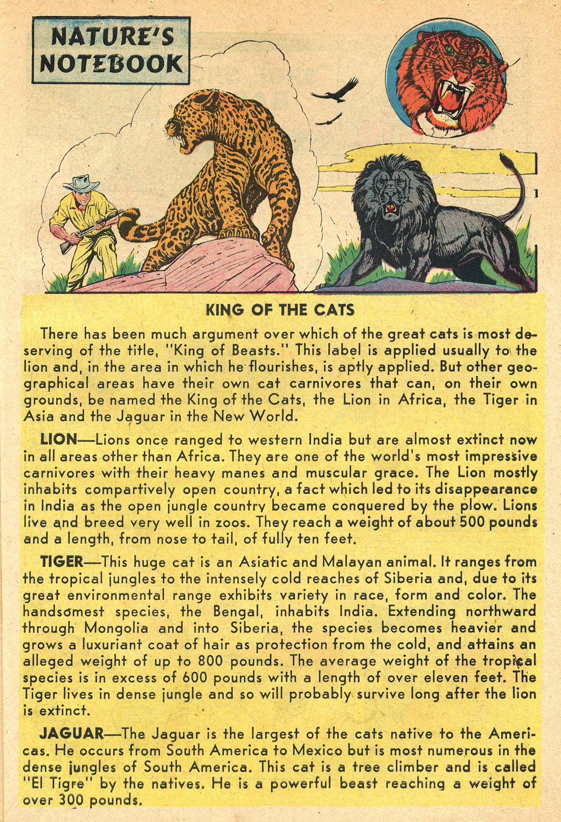 Read online Little Archie (1956) comic -  Issue #8 - 71