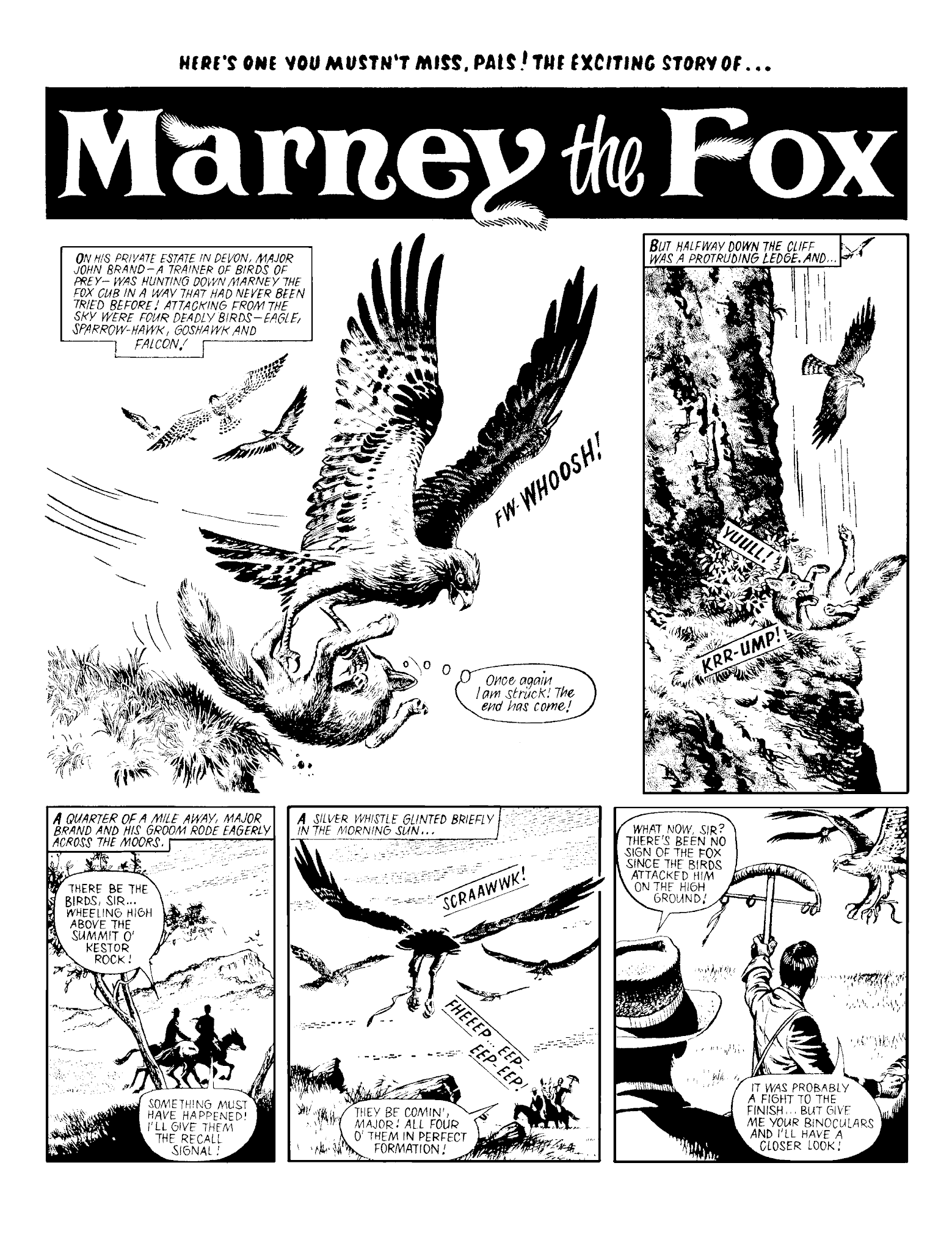Read online Marney the Fox comic -  Issue # TPB (Part 2) - 20